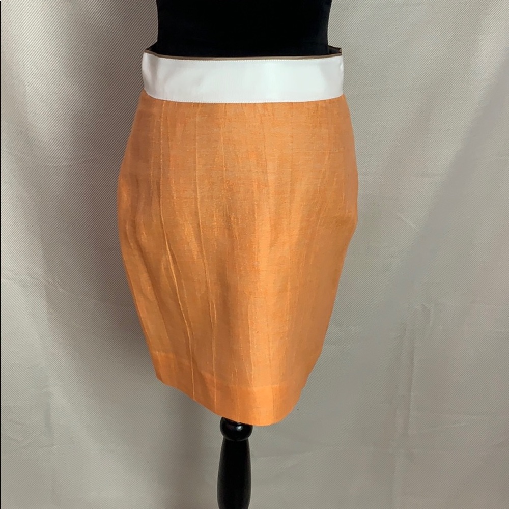 JCrew skirt